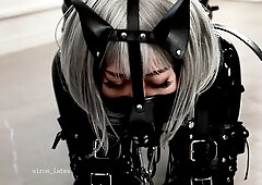 Rubber Puppy Is Connected To A Thick Leash For A Friendly Walk