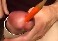cock in toilet-paper-roll - penis insertion