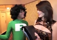 Classy plowed by big dick